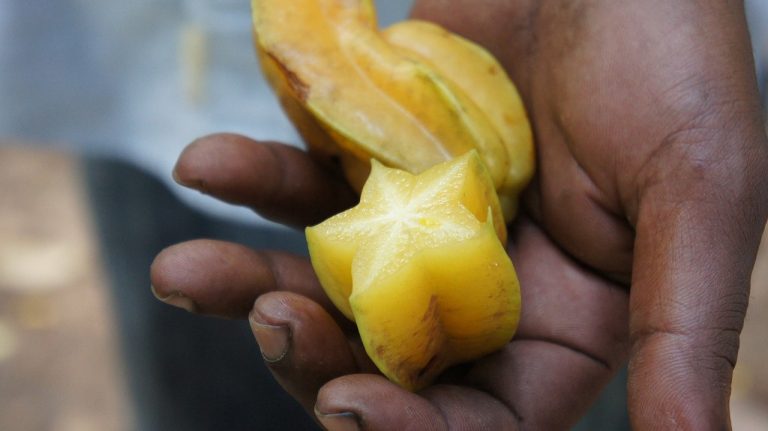 How To Eat Star Fruit And Enjoy It